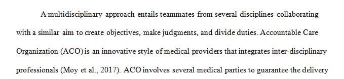 Describe one Innovative health care delivery model that Incorporates an interdisciplinary care delivery team