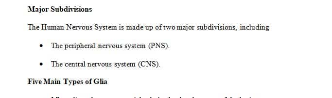 List the major subdivisions of the human Nervous System.