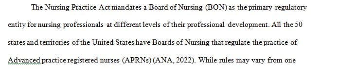 Professional Nursing and State-Level Regulations