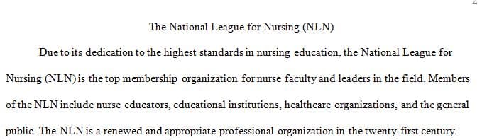 Examine the importance of professional associations in nursing.