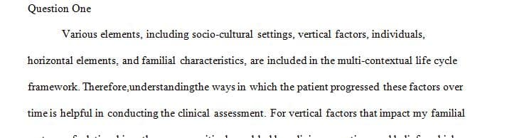 Explain the Multicontextual Life Cycle Framework and discuss the vertical factors