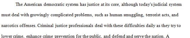 Examine problems and propose solutions for an organization within the criminal justice system.