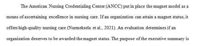 One of the most important skills for a nurse executive to have is the ability to write an executive summary.  