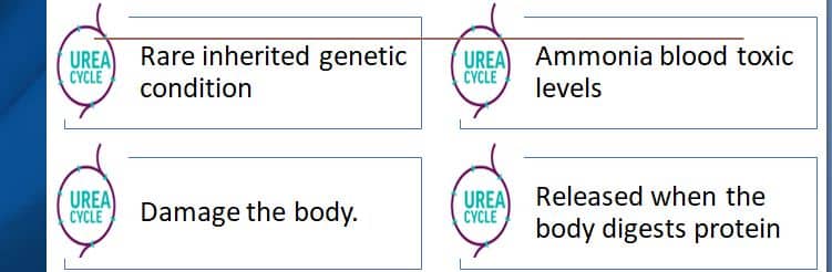 There are 5-8 different urea cycles