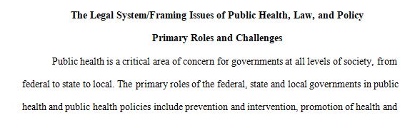 Discuss the primary roles and challenges of federal, state, and local government in public health and public health policies.