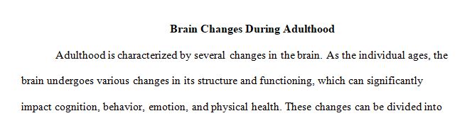 Identify and describe the changes in the brain that occur through adulthood