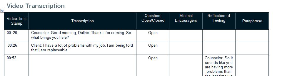 Video Transcription Analysis Worksheet