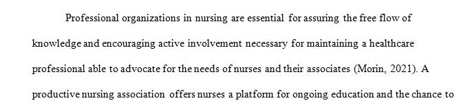 Examine the importance of professional associations in nursing. 