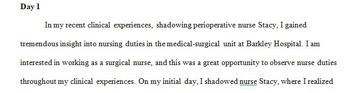 Examples of a clinical journal diary reflection based on the perspective of a nurse shadowing another nurse in a hospital.