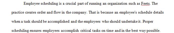 What are the parameters and considerations that must be made when developing the employee schedules for the retail stores at Feets. 