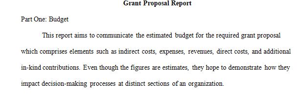 A financial officer is supported by team members who write a variety of reports to inform stakeholders of the results of decision-making