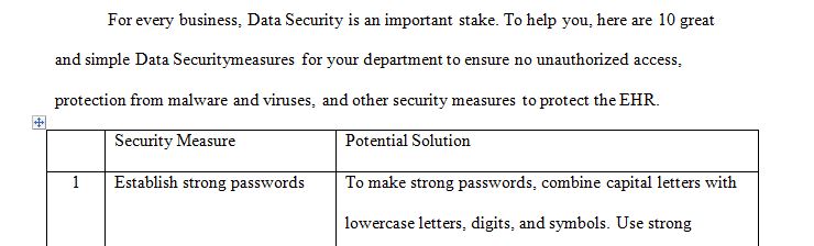 Develop data security measures and system policies, risk assessment tools, and contingency planning