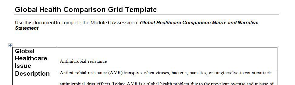 Global healthcare comparison matrix and narrative statement