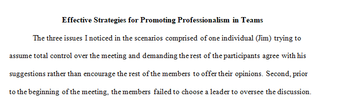 Identify effective strategies for promoting professionalism in teams.