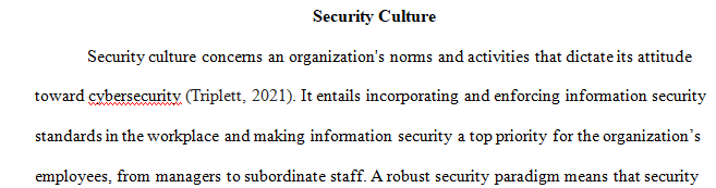 What is meant by security culture