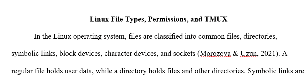 Different file types in Linux